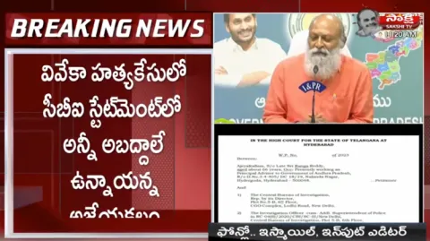 Ajay Kalam About CBI Statement Record In YS Viveka Case