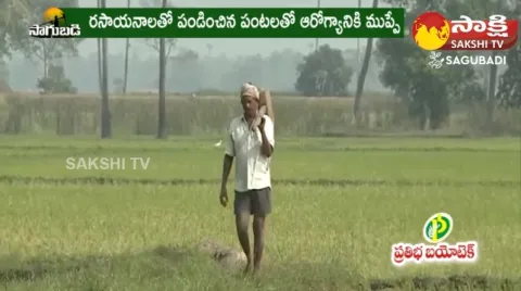 Organic Farming in Medak District 