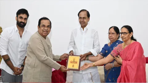 Comedian Brahmanandam Meets With CM KCR 