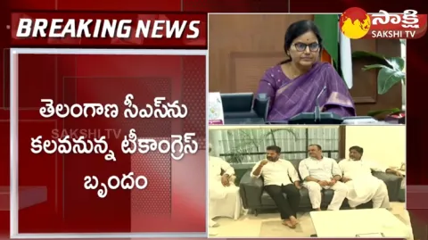Telangana Congress Leaders To Meet CS Santhi Kumari 