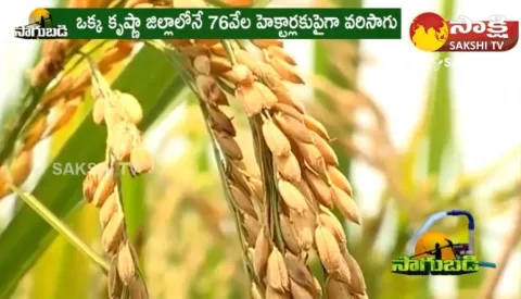 Andhra Pradesh Farmers About Rythu Bharosa Scheme 