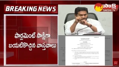 Nirmala Sitharaman Gives Clarity on AP Debts 