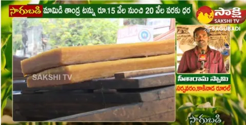 Sarpavaram Special Mamidi Tandra