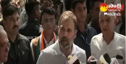 Rahul Gandhi First Reaction After Congress Win In Karnataka Elections