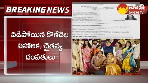 Niharika Konidela And Chaitanya Jonnalagadda Officially Divorced