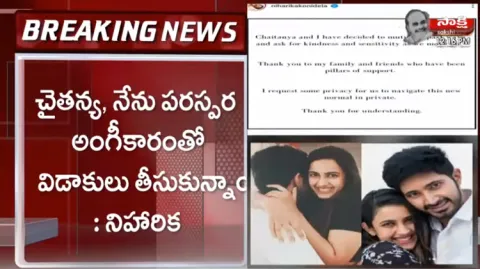 Niharika Konidela Insta Post About Divorce