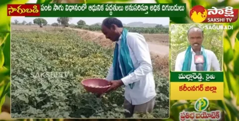 Success Story Of Farmer Malla Reddy
