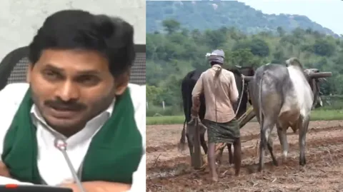 Free Electricity For Farmers In AP