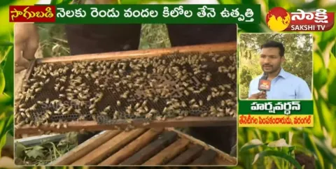 Success Story of Harsha Vardhana On Honey Bee Farming 