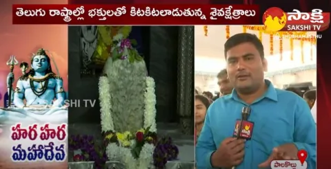 Maha Shivaratri Celebrations At Palakollu Sri Ksheera Ramalingeswara Swamy Temple