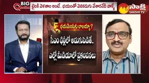 Yellow Media And Chandrababu Tension About CM YS Jagan Delhi Tour