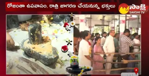 Maha Shivaratri 2023: Shivaratri Celebrations At Banjara Hills Lord Shivalayam Temple