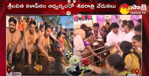 Shivaratri Mahotsavalu In Visakha RK Beach