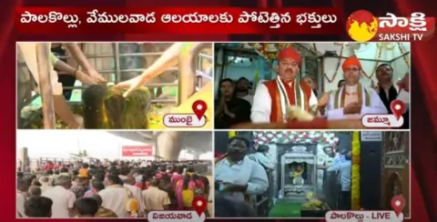 Shivaratri Mahotsavalu In Pancharama Kshetra in Palakollu 