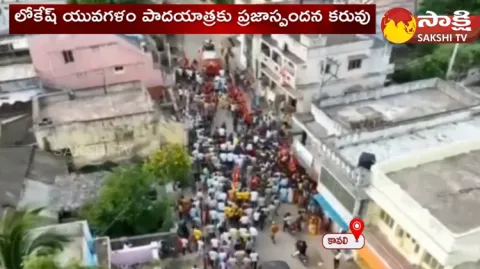 No Public In Nara Lokesh Padayatra