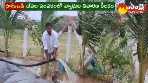 Fish Farming in Telugu | Fish Cultivation