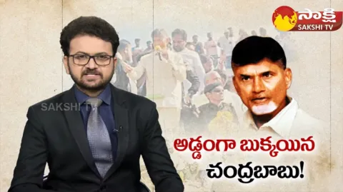 Chandrababu Punganur And Angallu Center Incidents