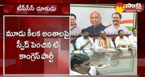 TPCC Action Plan For Election Campaign