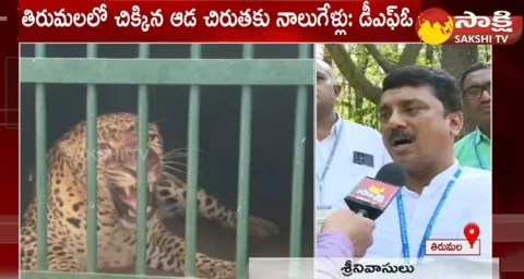 TTD EO Dharmareddy About Leopards