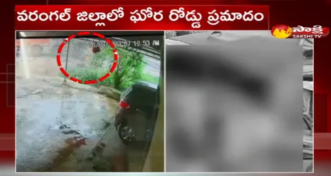 Road Accident In Warangal District 