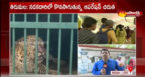 Leopard Searching Operation In Tirumala 