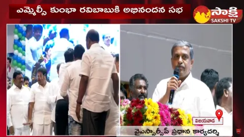 Sajjala Ramakrishna Reddy Praises CM YS Jagan