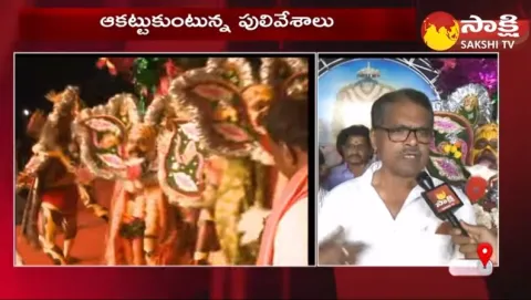Vizianagram Sirimanothsavam Festival 
