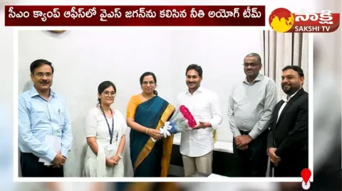 NITI Aayog Additional Secretary V Radha And Team Meets CM YS Jagan At Camp Office 