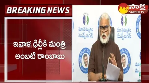 Minister Ambati Rambabu To Delhi Tour On Pawan Kalyan BRO Film Transactions