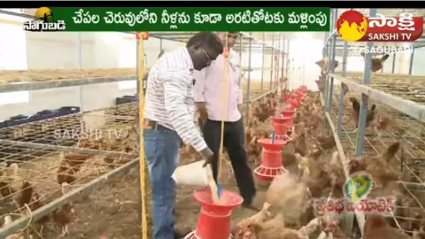 Success Story of Poultry Farming