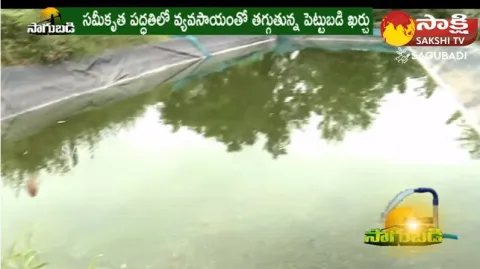 Farmer Earning 20 Lakhs In Fish Farming