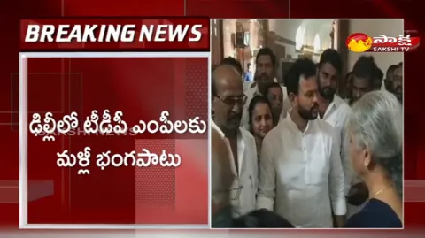 TDP Party MPs In New Delhi