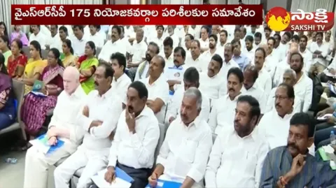 YSRCP 175 Constituencies Observers Meeting 