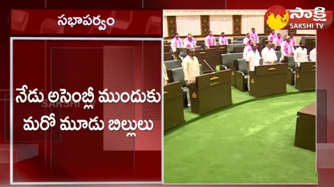 Telangana Assembly Passed 4 Bills 