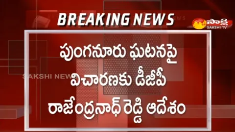 AP DGP Rajendranath Reddy Orders To Investigation On Punganur Incident