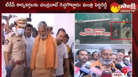 Peddireddy Ramachandra Reddy About Chandrababu Naidu Punganur Plan