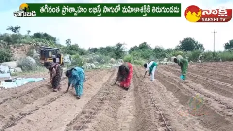  Prakruti Vyavasayam : Women Farmers Natural Farming in Anantapur Dist