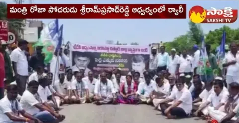 YSRCP Activists Fire on TDP Chief Chandrababu 