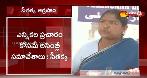 Sitakka Comments On BRS Party Leaders In Assembly Sessions