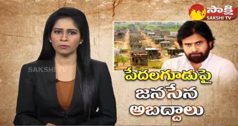Janasena And TDP Fake News On Jagananna Layout 