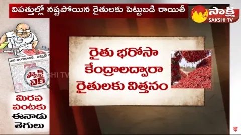 Ramoji Rao Eenadu Fake News on Chilli Crop