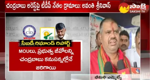 MLA Avanthi Srinivas About Chandrababu Arrest