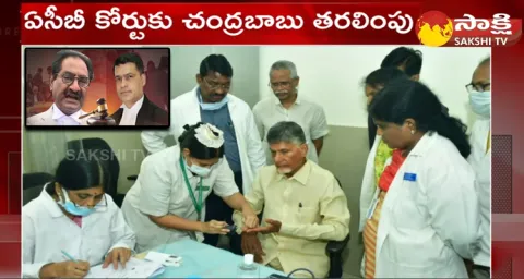Chandrababus Lawyer Arguing That Should Not Be Remanded 