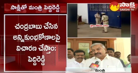Peddireddy Ramachandra Reddy About Chandrababu Remand