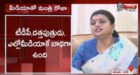 AP Minister RK Roja Comments On Chandrababu Remand