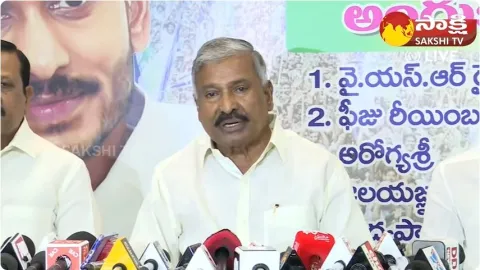 Minister Peddireddy Ramachandra Reddy Comments On Pawan Kalyan