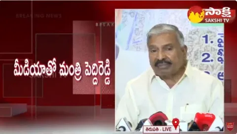 Minister Peddireddy Shocking Comments on Chandrababu