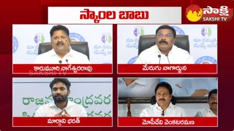 YSRCP Leaders Comments On Chandrababu