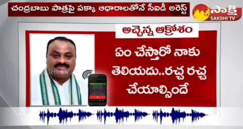 TDP Leader Atchannaidu May Grab TDP 