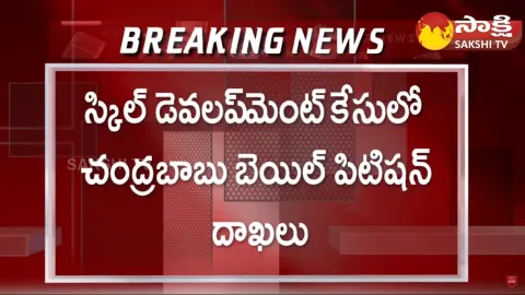 ACB Court Question To Chandrababu Lawyers